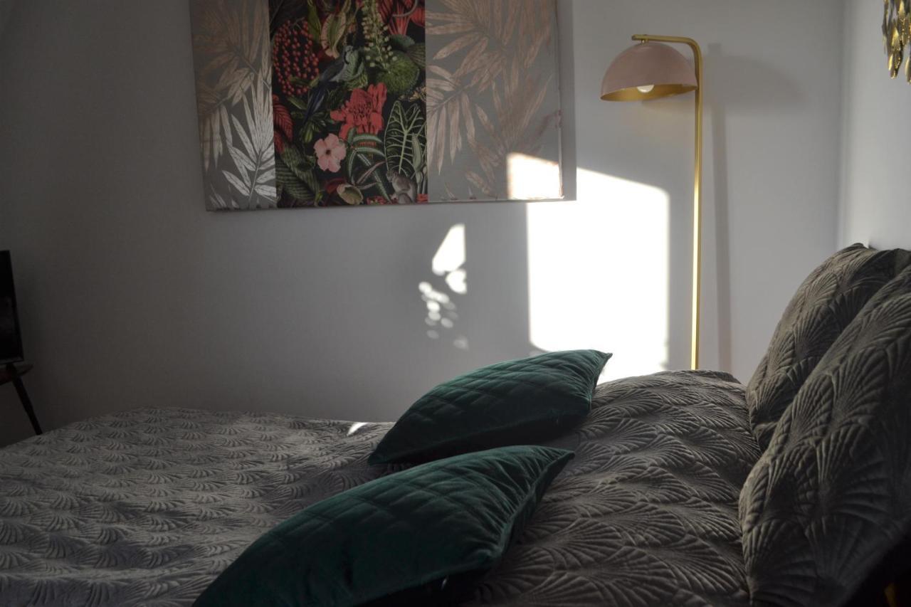 Aloes Studio Cracovia Esterno foto
