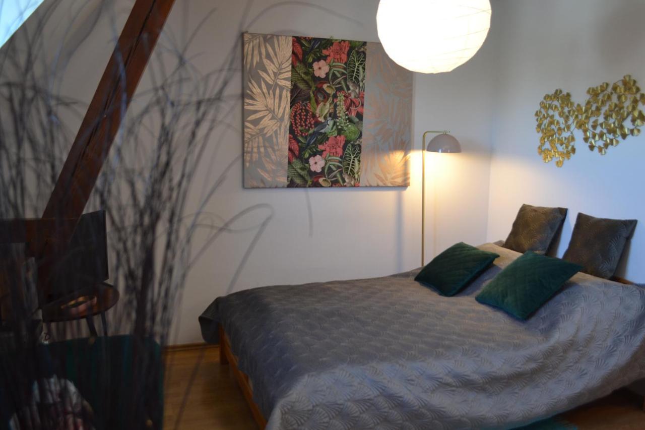 Aloes Studio Cracovia Esterno foto
