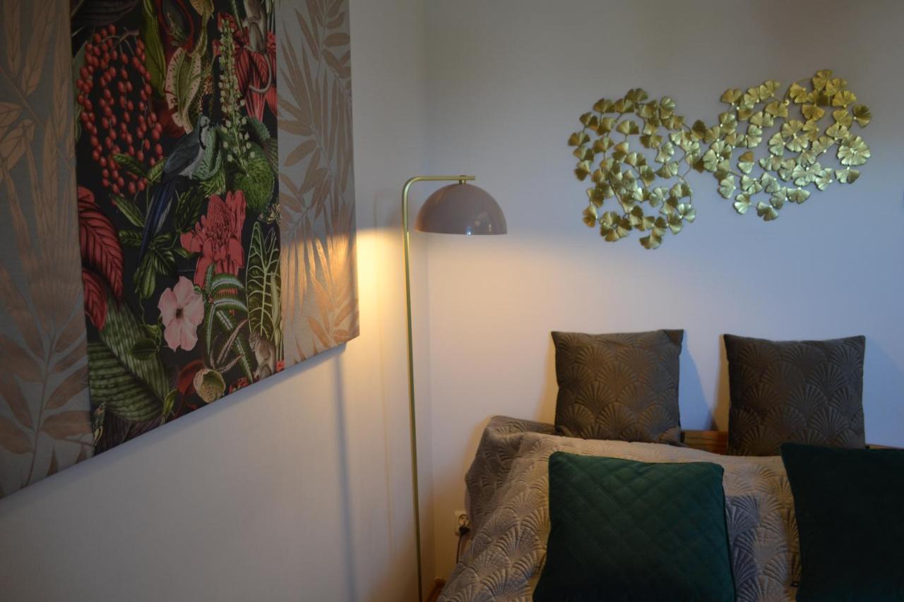 Aloes Studio Cracovia Esterno foto