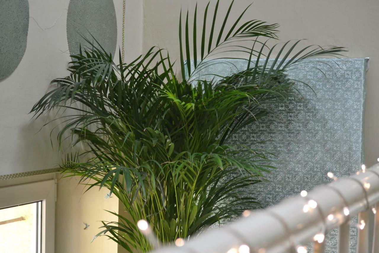 Aloes Studio Cracovia Esterno foto